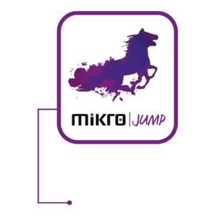Mikro Jump