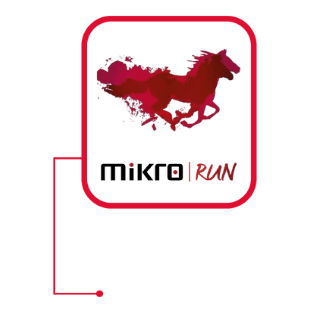 Mikro Run